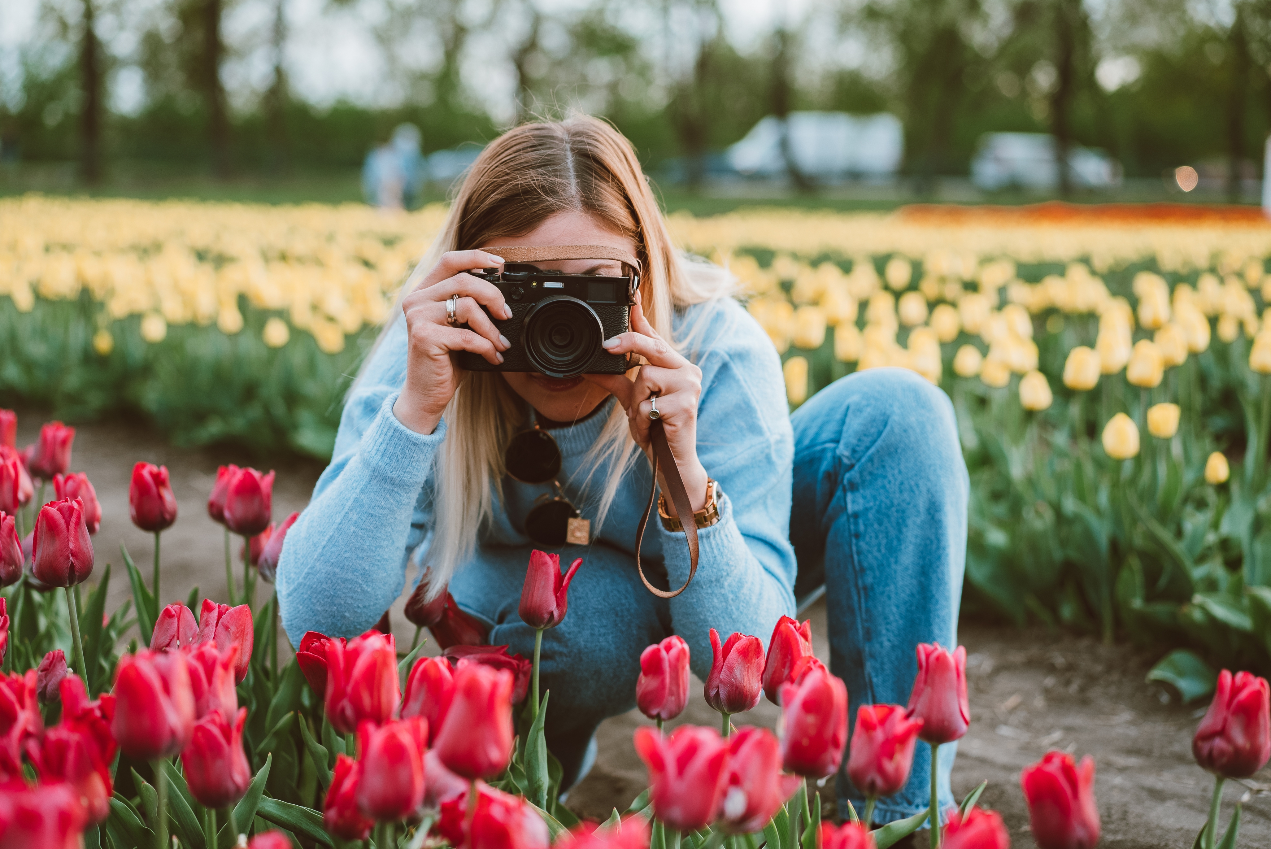 Fotografe bij tulpenveld